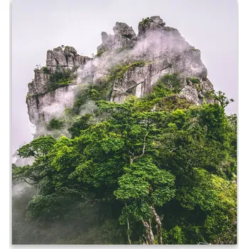 Obraz Skleněná Ochranná Deska a Krájecí Prkénko | Indukce, Sporák ds-0482