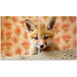 Skleněná Ochranná Deska a Krájecí Prkénko | Indukce, Sporák ds-0254