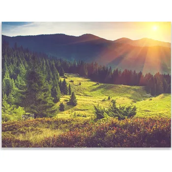 Kuchyňské prkénko Skleněná Ochranná Deska a Krájecí Prkénko | Indukce, Sporák ds-0383