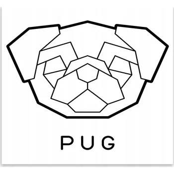 Kuchyňské prkénko Skleněná Ochranná Deska a Krájecí Prkénko | Indukce, Sporák ds-0181