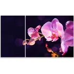 Skleněná Ochranná Deska a Krájecí Prkénko | Indukce, Sporák ds-0034