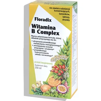 Floradix Vitamín B komplex tekutý 250 ml