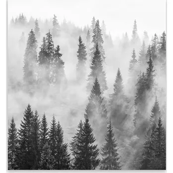 Kuchyňské prkénko Skleněná Ochranná Deska a Krájecí Prkénko | Indukce, Sporák ds-0499