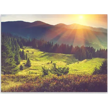 Kuchyňské prkénko Skleněná Ochranná Deska a Krájecí Prkénko | Indukce, Sporák ds-0383