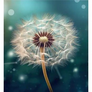 Kuchyňské prkénko Skleněná Ochranná Deska a Krájecí Prkénko | Indukce, Sporák ds-0321