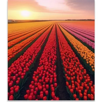 Kuchyňské prkénko Skleněná Ochranná Deska a Krájecí Prkénko | Indukce, Sporák ds-0335