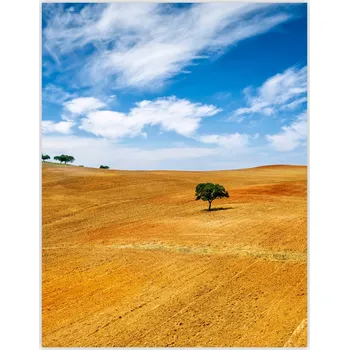 Kuchyňské prkénko Skleněná Ochranná Deska a Krájecí Prkénko | Indukce, Sporák ds-0137