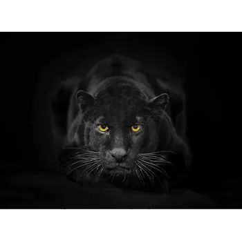 Kuchyňské prkénko Skleněná Ochranná Deska a Krájecí Prkénko | Indukce, Sporák ds-0110