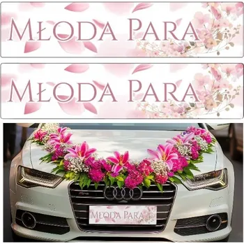 Obraz Dekorace na auto - SPZ růžová