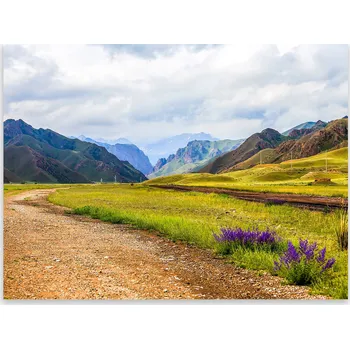 Kuchyňské prkénko Skleněná Ochranná Deska a Krájecí Prkénko | Indukce, Sporák ds-0498