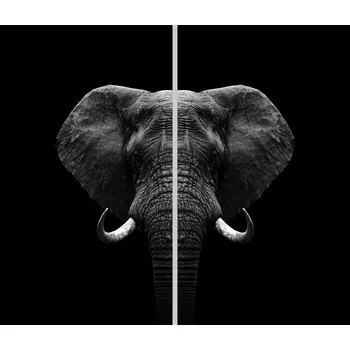 Kuchyňské prkénko Skleněná Ochranná Deska a Krájecí Prkénko | Indukce, Sporák ds-0572