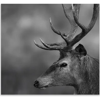 Kuchyňské prkénko Skleněná Ochranná Deska a Krájecí Prkénko | Indukce, Sporák ds-0204