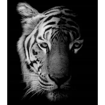 Kuchyňské prkénko Skleněná Ochranná Deska a Krájecí Prkénko | Indukce, Sporák ds-0408