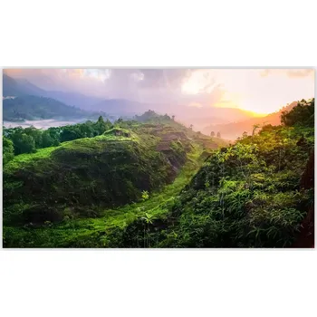 Kuchyňské prkénko Skleněná Ochranná Deska a Krájecí Prkénko | Indukce, Sporák ds-0441