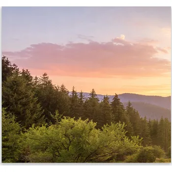 Kuchyňské prkénko Skleněná Ochranná Deska a Krájecí Prkénko | Indukce, Sporák ds-0471