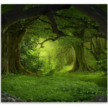 Kuchyňské prkénko Skleněná Ochranná Deska a Krájecí Prkénko | Indukce, Sporák ds-0420