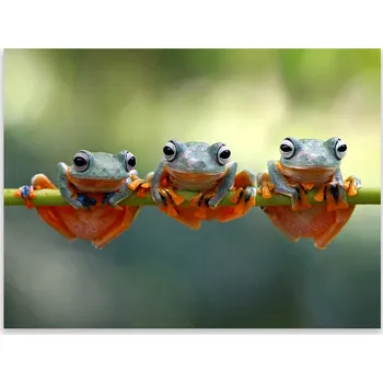 Kuchyňské prkénko Skleněná Ochranná Deska a Krájecí Prkénko | Indukce, Sporák ds-0466