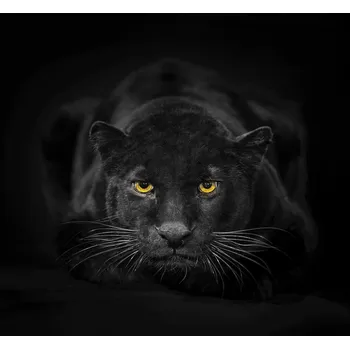 Kuchyňské prkénko Skleněná Ochranná Deska a Krájecí Prkénko | Indukce, Sporák ds-0110