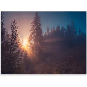 Kuchyňské prkénko Skleněná Ochranná Deska a Krájecí Prkénko | Indukce, Sporák ds-0165