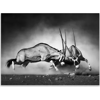 Obraz Skleněná Ochranná Deska a Krájecí Prkénko | Indukce, Sporák ds-0374