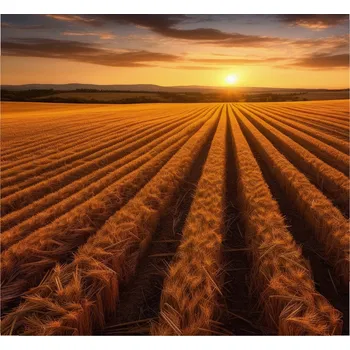 Kuchyňské prkénko Skleněná Ochranná Deska a Krájecí Prkénko | Indukce, Sporák ds-0330