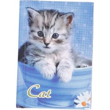 Sešit Sešit A5 s mřížkou Penword, 96 listů