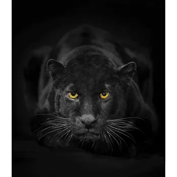 Kuchyňské prkénko Skleněná Ochranná Deska a Krájecí Prkénko | Indukce, Sporák ds-0110