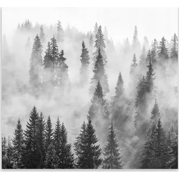 Kuchyňské prkénko Skleněná Ochranná Deska a Krájecí Prkénko | Indukce, Sporák ds-0499