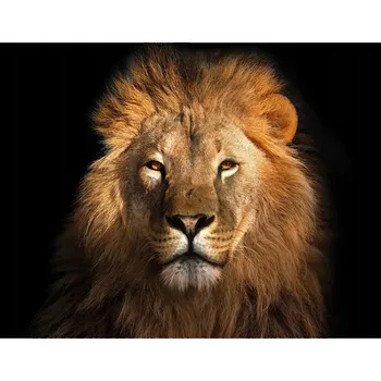 Kuchyňské prkénko Skleněná Ochranná Deska a Krájecí Prkénko | Indukce, Sporák ds-0439