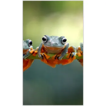 Kuchyňské prkénko Skleněná Ochranná Deska a Krájecí Prkénko | Indukce, Sporák ds-0466