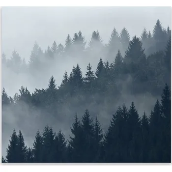 Kuchyňské prkénko Skleněná Ochranná Deska a Krájecí Prkénko | Indukce, Sporák ds-0442