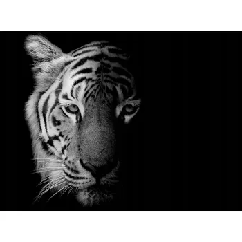 Kuchyňské prkénko Skleněná Ochranná Deska a Krájecí Prkénko | Indukce, Sporák ds-0408