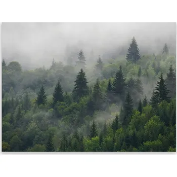 Kuchyňské prkénko Skleněná Ochranná Deska a Krájecí Prkénko | Indukce, Sporák ds-0500