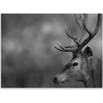 Kuchyňské prkénko Skleněná Ochranná Deska a Krájecí Prkénko | Indukce, Sporák ds-0204