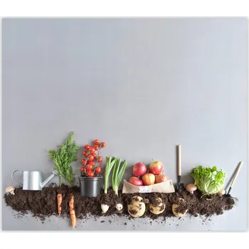 Kuchyňské prkénko Skleněná Ochranná Deska a Krájecí Prkénko | Indukce, Sporák ds-0522