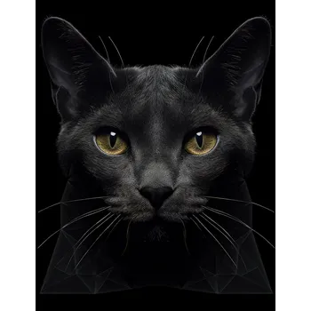 Kuchyňské prkénko Skleněná Ochranná Deska a Krájecí Prkénko | Indukce, Sporák ds-0304