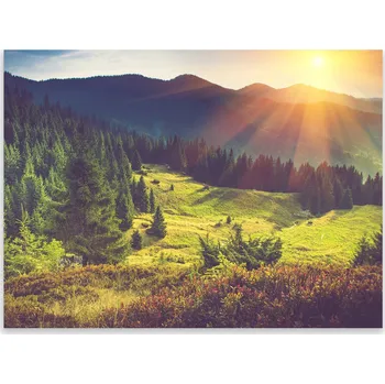 Kuchyňské prkénko Skleněná Ochranná Deska a Krájecí Prkénko | Indukce, Sporák ds-0383