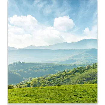 Kuchyňské prkénko Skleněná Ochranná Deska a Krájecí Prkénko | Indukce, Sporák ds-0566