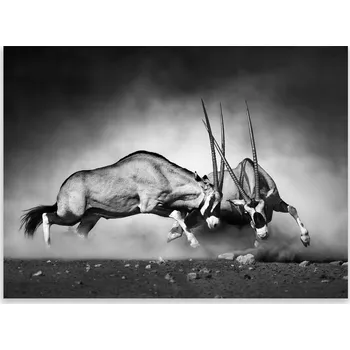 Kuchyňské prkénko Skleněná Ochranná Deska a Krájecí Prkénko | Indukce, Sporák ds-0374