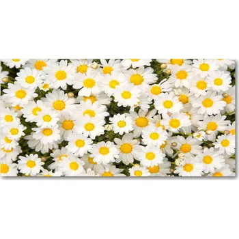 Obraz Kuchyňský panel mezi skříňky Stokrotki 120x60 + LEPIDLO