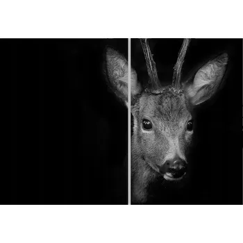 Kuchyňské prkénko Skleněná Ochranná Deska a Krájecí Prkénko | Indukce, Sporák ds-0205