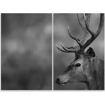 Kuchyňské prkénko Skleněná Ochranná Deska a Krájecí Prkénko | Indukce, Sporák ds-0204