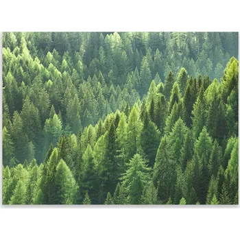 Kuchyňské prkénko Skleněná Ochranná Deska a Krájecí Prkénko | Indukce, Sporák ds-0417