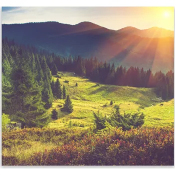 Kuchyňské prkénko Skleněná Ochranná Deska a Krájecí Prkénko | Indukce, Sporák ds-0383