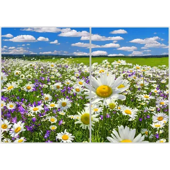 Kuchyňské prkénko Skleněná Ochranná Deska a Krájecí Prkénko | Indukce, Sporák ds-0514