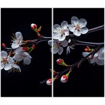 Kuchyňské prkénko Skleněná Ochranná Deska a Krájecí Prkénko | Indukce, Sporák ds-0299