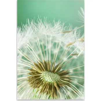 Kuchyňské prkénko Skleněná Ochranná Deska a Krájecí Prkénko | Indukce, Sporák ds-0038