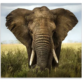 Kuchyňské prkénko Skleněná Ochranná Deska a Krájecí Prkénko | Indukce, Sporák ds-0363