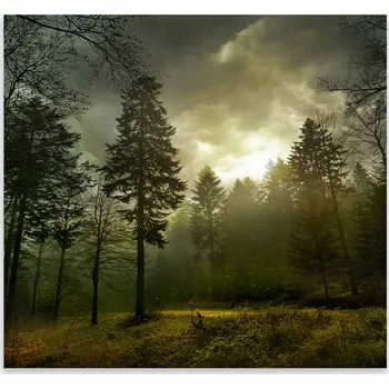 Kuchyňské prkénko Skleněná Ochranná Deska a Krájecí Prkénko | Indukce, Sporák ds-0397