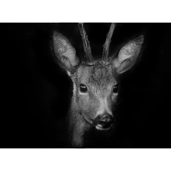 Kuchyňské prkénko Skleněná Ochranná Deska a Krájecí Prkénko | Indukce, Sporák ds-0205